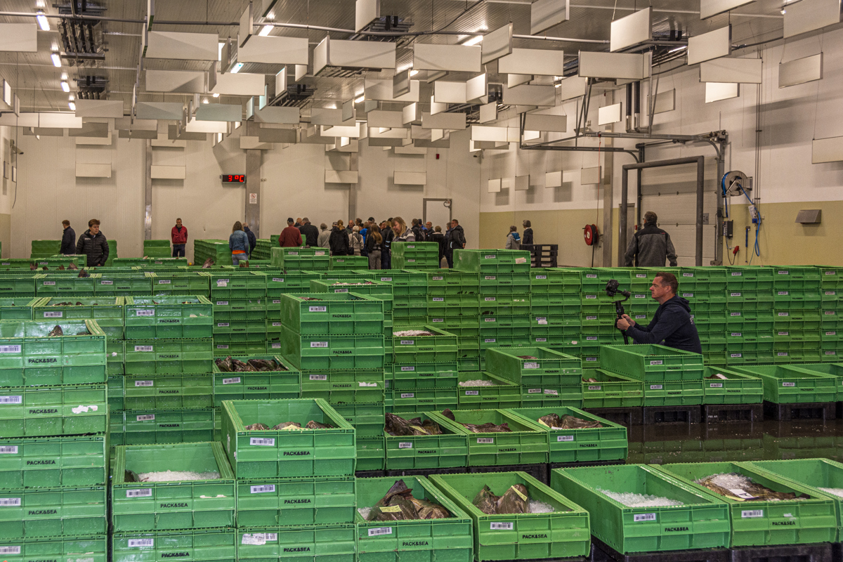 Fiskeauktionstur 2019